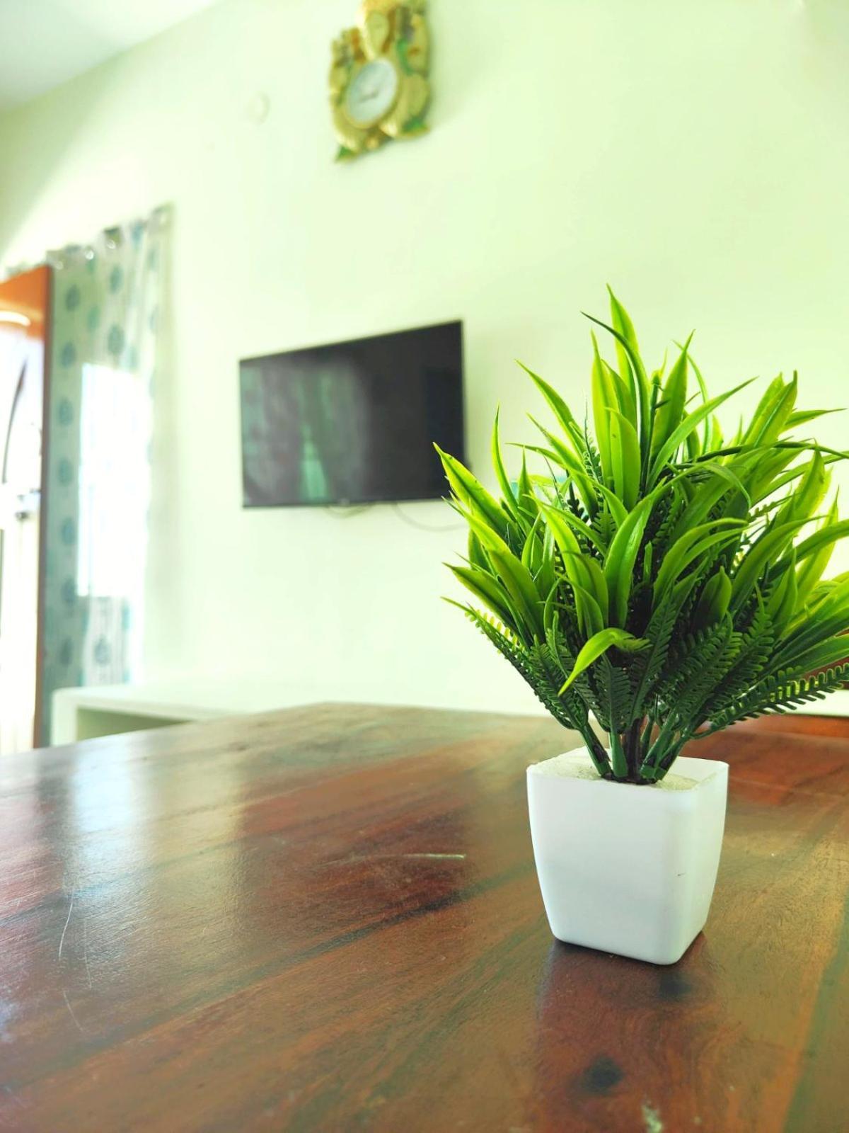 Shivam Eden Beach Homestay ポンディシェリ エクステリア 写真